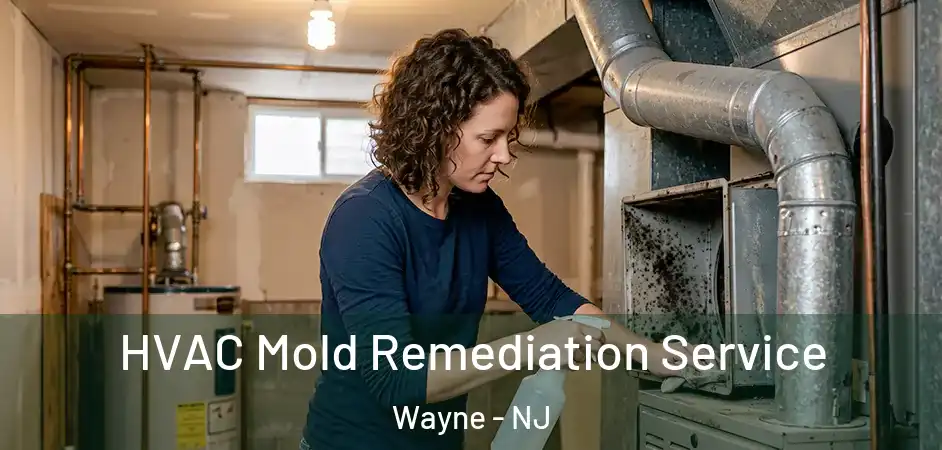  HVAC Mold Remediation Service Wayne - NJ